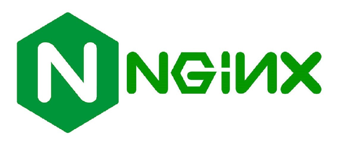 Set Up a Simple File Server on Linux with Nginx